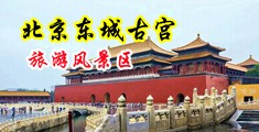 黑丝奶子鸡巴插入中国北京-东城古宫旅游风景区